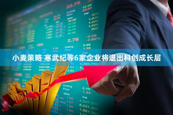 小麦策略 寒武纪等6家企业将退出科创成长层