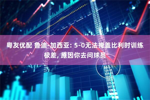 粤友优配 鲁迪-加西亚: 5-0无法掩盖比利时训练极差, 原因你去问球员