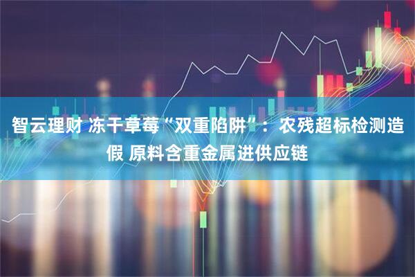 智云理财 冻干草莓“双重陷阱”：农残超标检测造假 原料含重金属进供应链