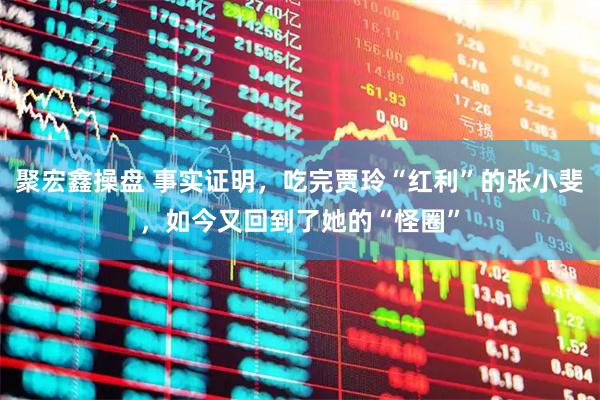 聚宏鑫操盘 事实证明，吃完贾玲“红利”的张小斐，如今又回到了她的“怪圈”