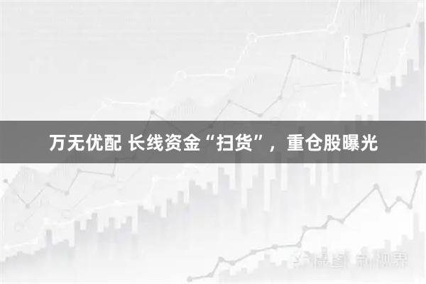 万无优配 长线资金“扫货”，重仓股曝光
