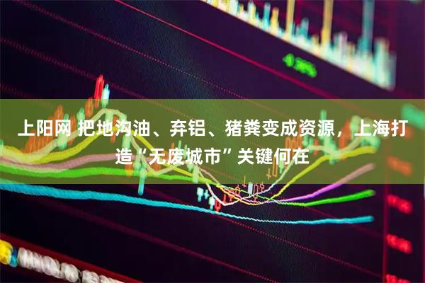 上阳网 把地沟油、弃铝、猪粪变成资源，上海打造“无废城市”关键何在