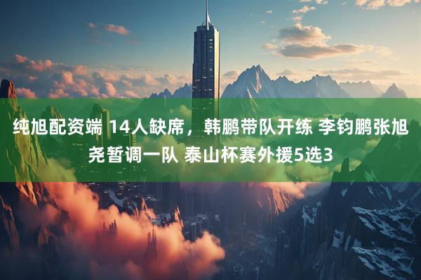 纯旭配资端 14人缺席,韩鹏带队开练 李钧鹏张旭尧暂调一队 泰山杯赛外援5选3